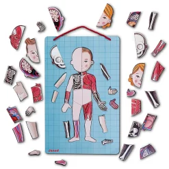 Body Magnet L'Anatomie - 12 langues