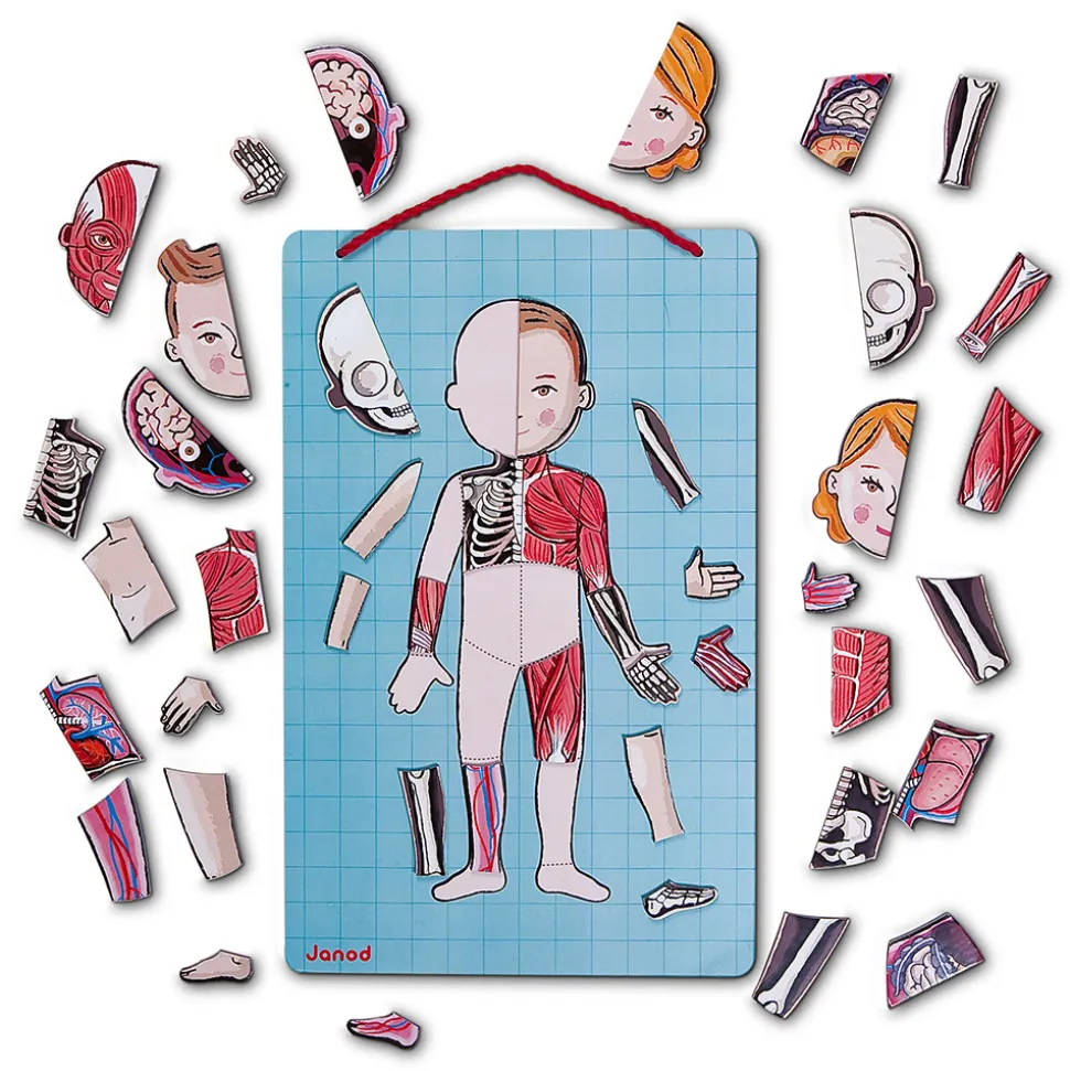 Body Magnet L'Anatomie - 12 langues