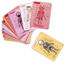 Body Magnet L'Anatomie - 12 langues