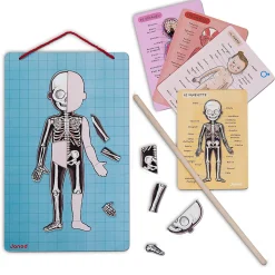 Body Magnet L'Anatomie - 12 langues