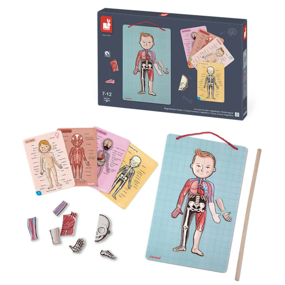 Body Magnet L'Anatomie - 12 langues