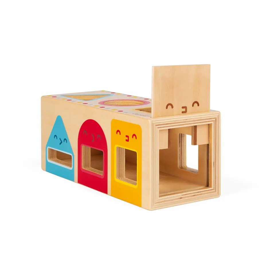 Boite à Formes Géométriques (bois)