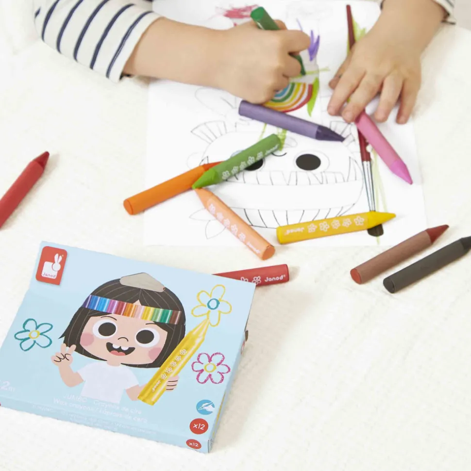 Crayons de Cire x12