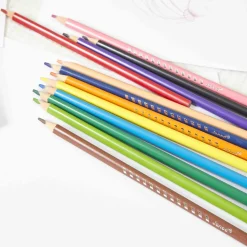 Crayons de Couleur x12