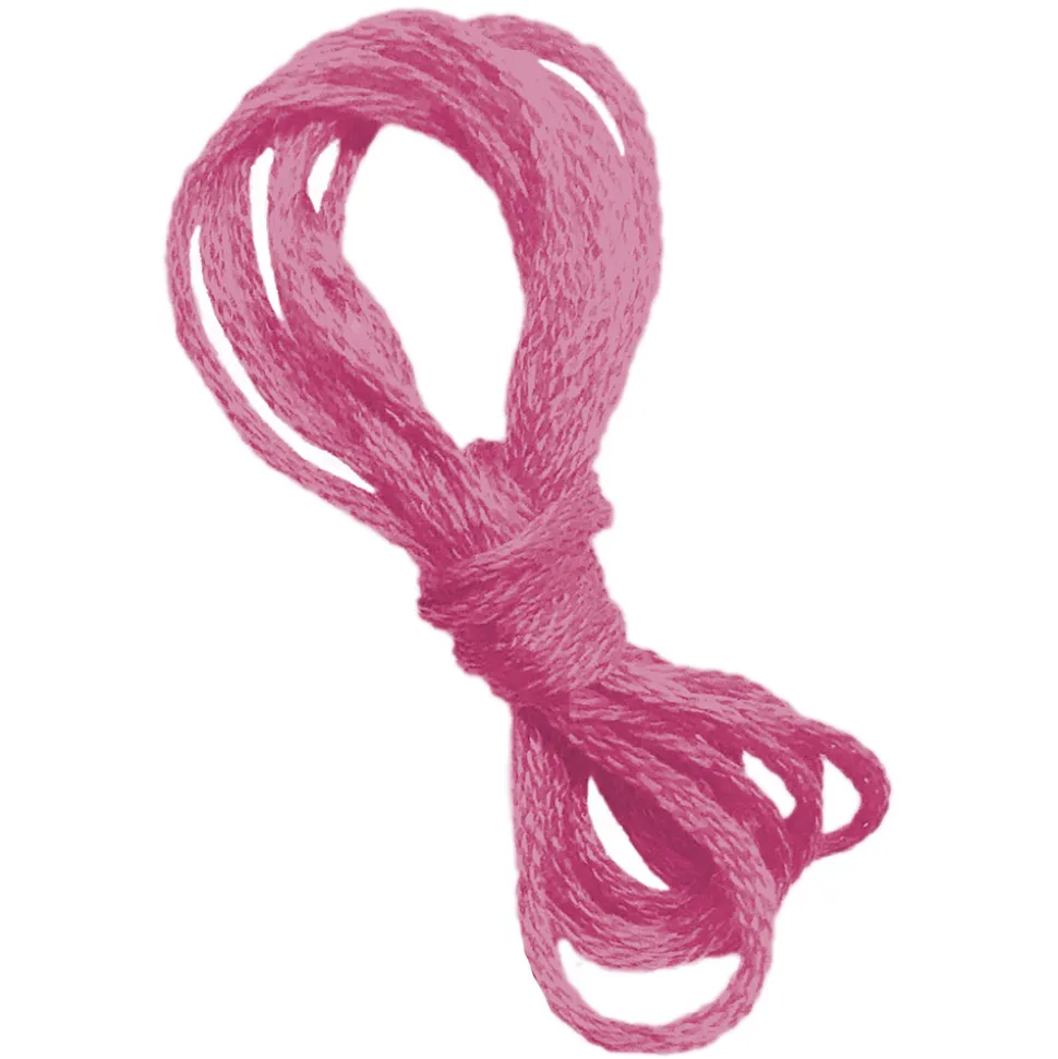 Kit Créatif - Fils Tendus Animaux