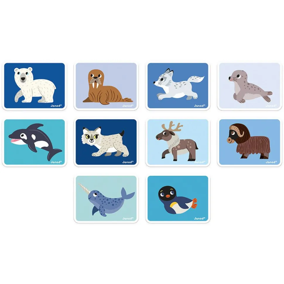 Magnéti'book Animaux Polaires