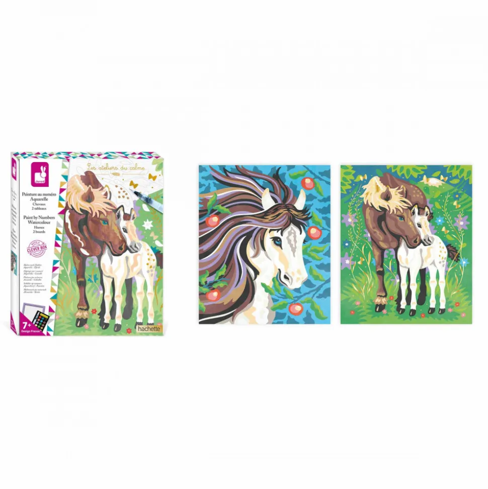 Peinture au Numéro Aquarelle Chevaux