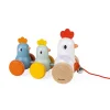 Poule et Poussins à promener