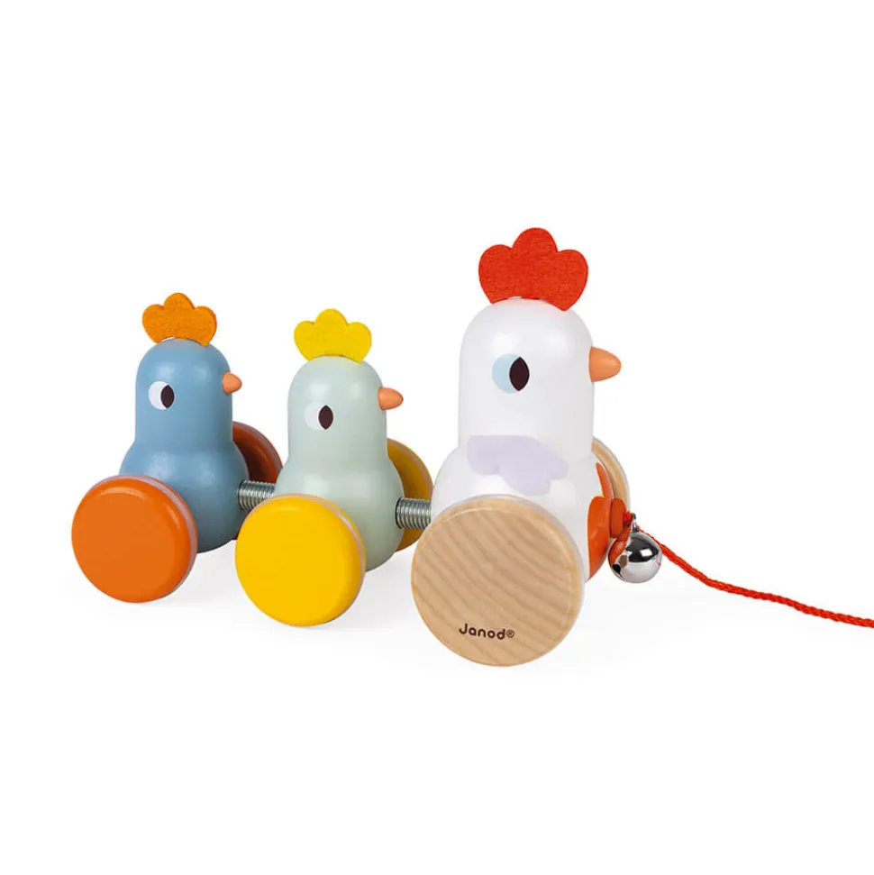 Poule et Poussins à promener
