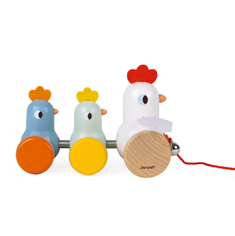 Poule et Poussins à promener