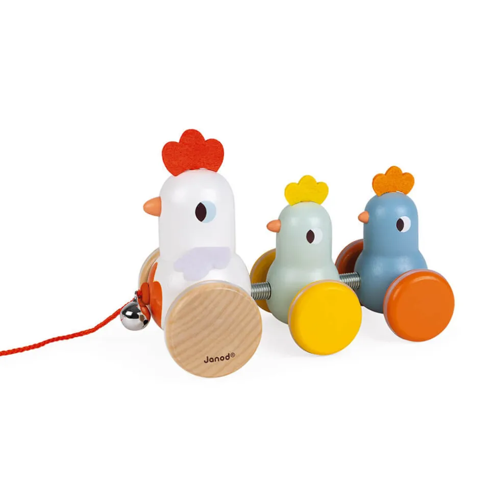 Poule et Poussins à promener