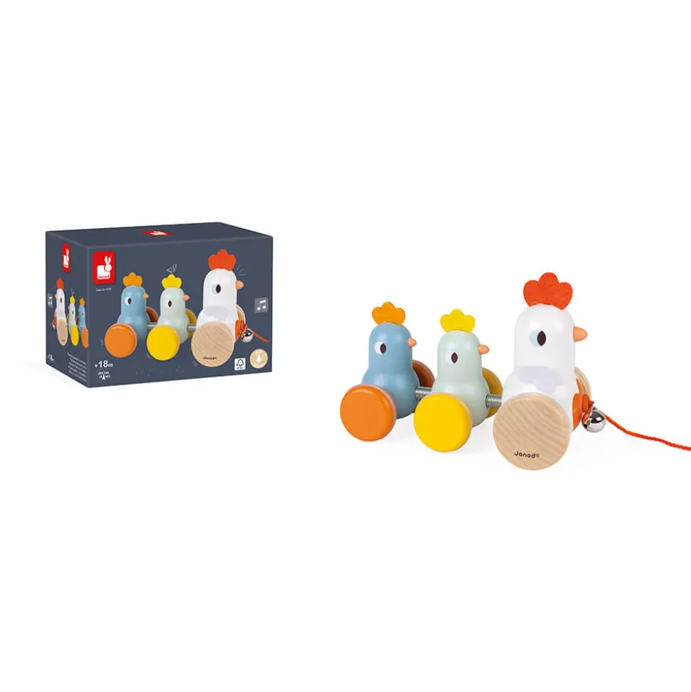 Poule et Poussins à promener