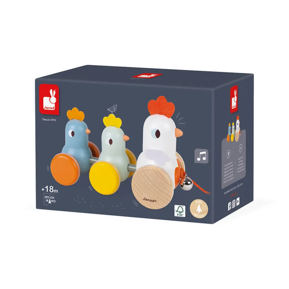 Poule et Poussins à promener