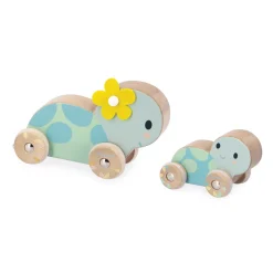 Set de 2 Tortues à Pousser Pure